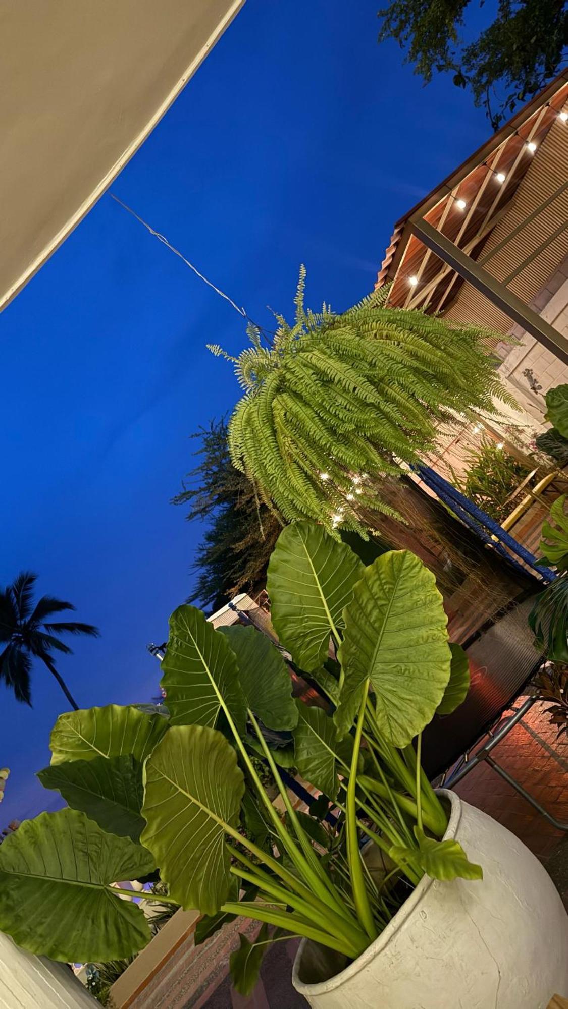 Hotel La Candelaria Room House Magangué المظهر الخارجي الصورة